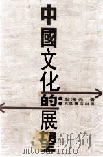 中国文化的展望  上   1966  PDF电子版封面    殷海光著 