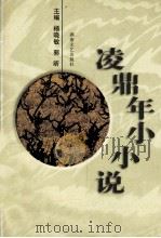 凌鼎年小小说   1997  PDF电子版封面  7540416653  凌鼎年著 