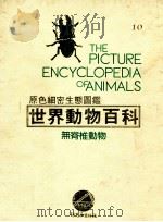 原色细密生态图鉴  世界动物百科  无脊椎动物   1987  PDF电子版封面     