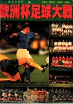 欧洲杯足球大战   1996  PDF电子版封面  7806071466  马德兴撰 