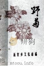 野菊  纪念建党六十六周年特集     PDF电子版封面    新农乡文化站编 