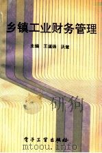 乡镇工业财务管理   1992  PDF电子版封面  7505318993  王道振，沃健主编 