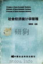 社会经济统计学原理   1994.07  PDF电子版封面    凌桂清，邬补科，顾维青等编著 