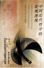 中国近代哲学的宏观透视   1994  PDF电子版封面  7531623420  魏义霞著 