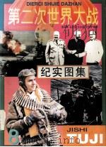 第二次世界大战纪实图集  第8册   1995.05  PDF电子版封面    彭训厚，左立平，王立东，王玉玲编著 