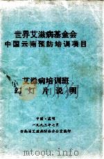 世界艾滋病基金会中国云南预防培训项目艾滋病培训班幻灯片说明（1993 PDF版）