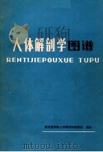 人体解剖学图谱   1979  PDF电子版封面  14048·2419  南京医学院人体解剖学教研组编绘 