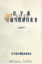 江宁县计划与经济白皮书  1999（ PDF版）