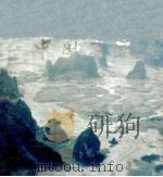 中国岩溶（1976 PDF版）