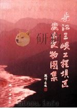 长江三峡工程坝区出土文物图集（1997 PDF版）