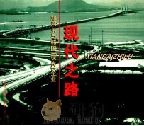 现代之路  郑周永与韩国“现代”企业   1996  PDF电子版封面  7108009854  （韩）金明壕主编；安荣洙，张琳编写 