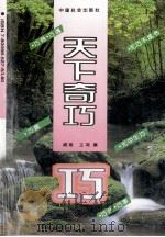 天下奇巧   1995  PDF电子版封面  7800885275  咸海，王鸿编 