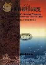 中国百强县市概览（1994 PDF版）