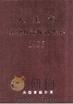 大连市社会经济统计年鉴  1996     PDF电子版封面    刘丕基主编 