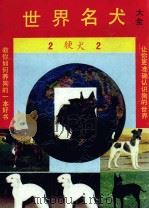 世界名犬大全   1993  PDF电子版封面  7203024660  慧铭著 