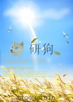 台湾的未来     PDF电子版封面     
