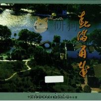 春满甬城  2004-2007年  宁波市园林绿化巡礼（ PDF版）