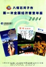 八师石河子市第一次全国经济普查年鉴  2004（ PDF版）