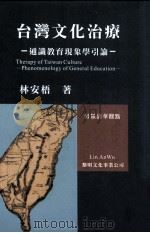 台湾文化治疗  通识教育现象学引论   PDF电子版封面  9571605484  林安梧著 