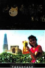 吐鲁番财经  1950-1993   1994  PDF电子版封面  7500527306  王丙乾著；新疆维吾尔自治区吐鲁番地区财政处编 