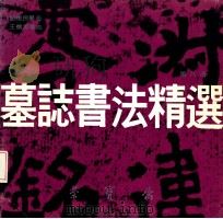 墓志书法精选  第8册  刘怀民墓志、王僧男墓志（1992 PDF版）