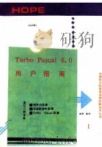 TURBO PASCAL 6．0 第1册 用户指南   1991  PDF电子版封面    娅雯编译 