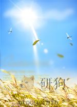 桂花雨     PDF电子版封面     