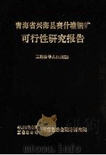 青海省兴海县赛什塘铜矿可行性研究报告   1995  PDF电子版封面     