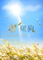 我的中国童年     PDF电子版封面     