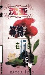 沈亚作品系列  等待，在河的彼岸   1998  PDF电子版封面  7806695583  （台湾）沈亚著 