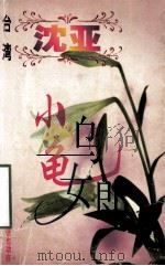 沈亚作品系列  小乌龟女郎（1998 PDF版）