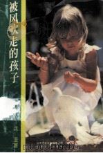 被风吹走的孩子   1995  PDF电子版封面  7539907924  （台湾）沈亚著 