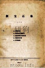 新宝石集  1   1990  PDF电子版封面    《国外非金属矿与宝石》编辑部编 