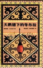 天鹅翅县的冬布拉     PDF电子版封面    肯杰别克·扎尔合木著；库拉西汉·木哈买提汉译 