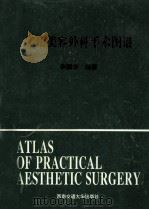 实用美容外科手术图谱   1994  PDF电子版封面  7810226452  荣国华编 