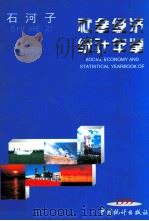 石河子社会经济统计年鉴  1999   1999  PDF电子版封面  7503730935  《石河子社会经济统计年鉴》编辑委员会编 