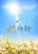 康熙字典（四）   1930  PDF电子版封面    王云五主编 