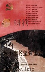 奔小康的坚强堡垒   1994  PDF电子版封面    中共河南省委组织部编 