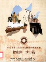 东莞市第三次全国文物普查成果图册  松山湖·沙田篇     PDF电子版封面    陈潮晖，袁攀主编 