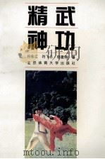 精武神功（1994 PDF版）
