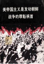 美帝国主义是发动朝鲜战争的罪魁祸首   1993  PDF电子版封面    许宗浩等 