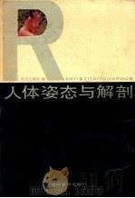 人体姿态与解剖   1989  PDF电子版封面  7535602460  陈伟生编著 