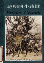 聪明的小裁缝   1988  PDF电子版封面  7532704327  （德）格　林（Grimm，J.L.C.），（德）格　林（Gr 