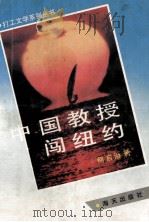 中国教授闯纽约   1993  PDF电子版封面  7805427267  何启治著 