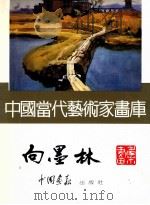 中国当代艺术家画库  向墨林画集   1997  PDF电子版封面  7800241831  向墨林绘 