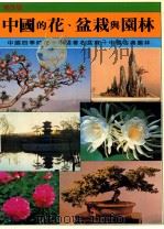 中国的花、盆栽与园林  中国四季的花+中国著名盆栽+中国古典园林（1982 PDF版）