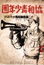 协和青少年团  满洲国的青少年运动   1943  PDF电子版封面     
