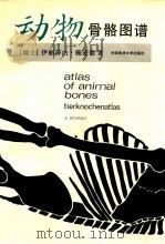 动物骨骼图谱   1992  PDF电子版封面  7562506353  （瑞士）施密德（Schmid，Elisabeth）著；李天元 