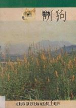 植物   1980  PDF电子版封面    亘理俊次等原著；魏尚俭译；郑元春校订 