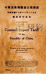 中华民国海关进口税税则  中华民国十九年十二月二十九日国民政府公布   1930  PDF电子版封面     